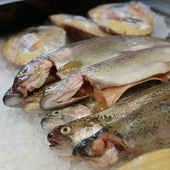 Fresh fish and seafood 